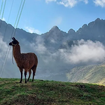 Apartament Le Perchoir De Juliette *